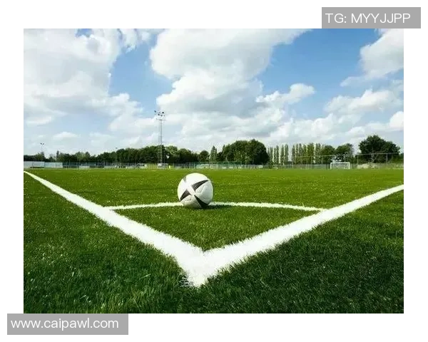 杨晨：从绿茵场到赛场边缘的传奇之路与人生转型探索