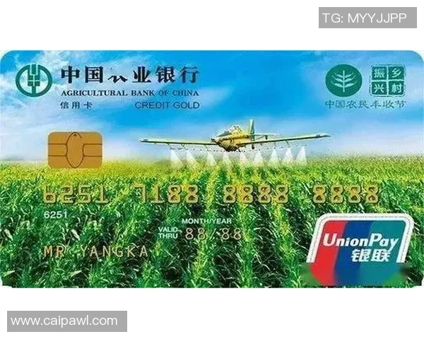 九台农商银行创新金融服务助力乡村振兴与地方经济发展新篇章